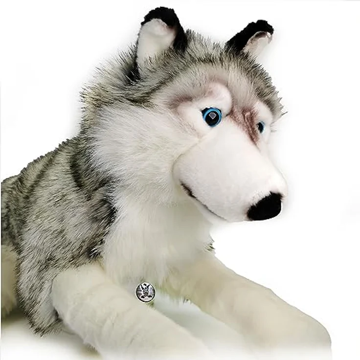 Kuscheltiere.biz Wolf Husky Schlenkertier Grauwolf Plüschtier 80 cm XXL Schlenkerwolf ASKA, überragend weicher Plüschstoff, meliertes Fell, realistisches Design, waschbar bei 30°C, inklusive silberfarbener Esel-Igor-Metallplakette – Bild 1