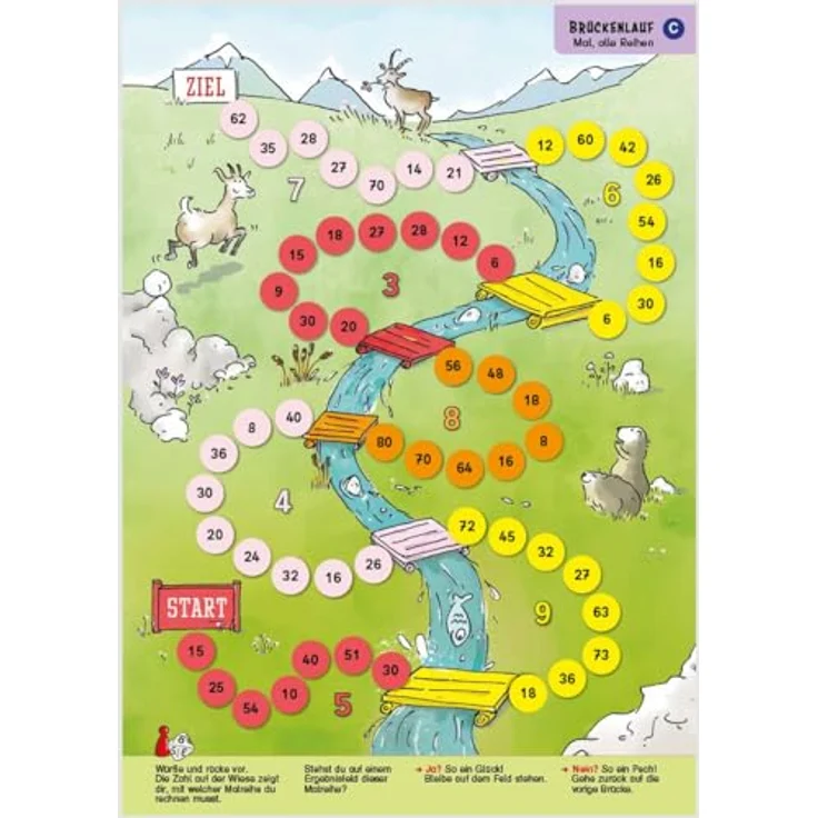 Schubi Lehrmittel Ruckzuck Mathespiele Einmaleins, Lernspiel mit 24 Übungsspielen auf kartonierten Spielplänen (A3) und 2 Zehnerwürfeln – Bild 5