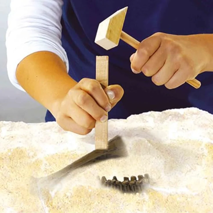 SES Creative 25092 Dino und Skelette ausgraben 2 in 1 - T-rex, Lehrreiches Ausgrabungsspielzeug für Kinder ab 5 Jahren mit Spielfigur und Werkzeugen – Bild 3