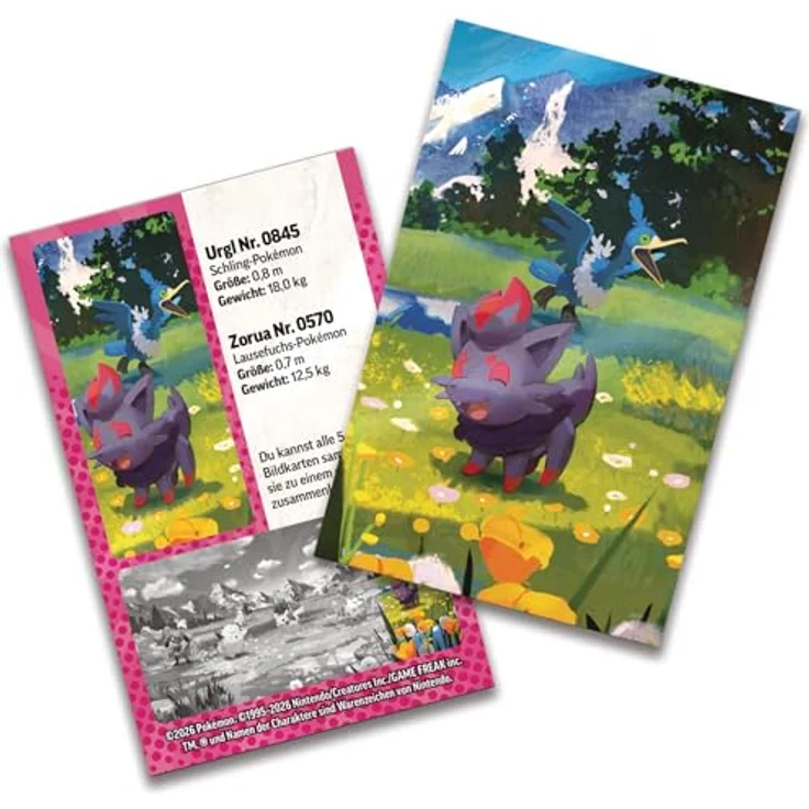 Pokémon Pokémon-Sammelkartenspiel: Mini-Tin-Box Mega-Entwicklung – Erhabene Helden mit Zorua und Urgl, inklusive 1 Stickerbogen, 1 Pokémon-Bildkarte und 2 Boosterpacks – Bild 3