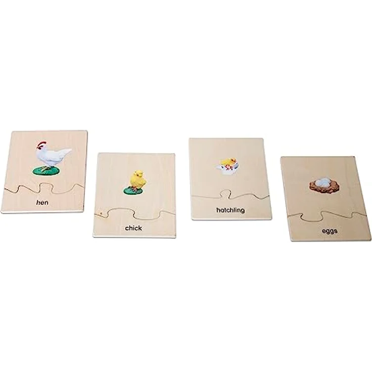 Betzold Lebenszyklus Huhn, Holz-Puzzle mit Phasen der Entwicklung vom Ei zum Huhn, für Kinder ab 5 Jahren – Bild 4