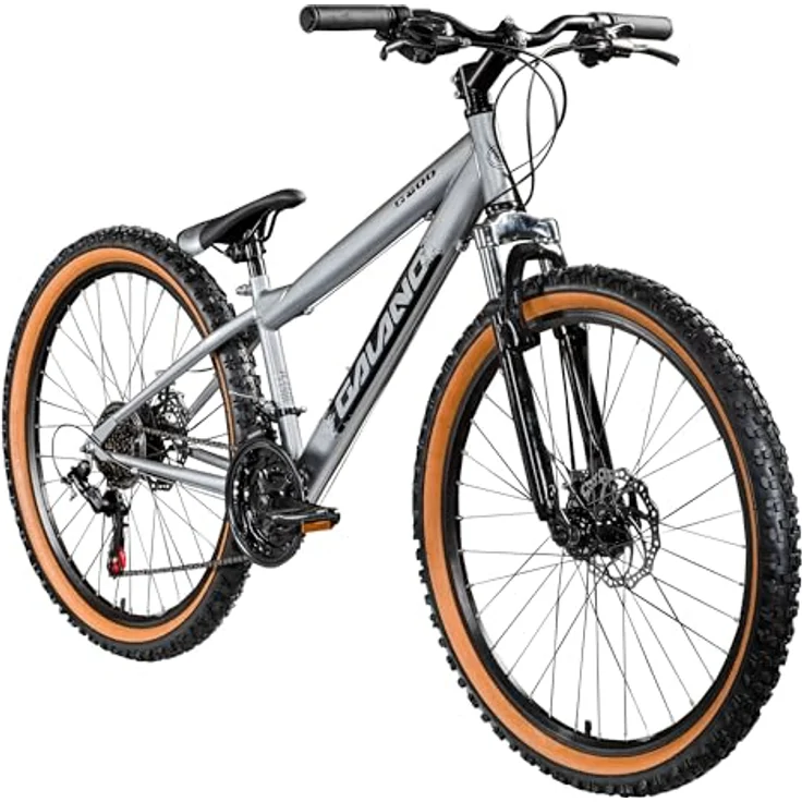 Galano G600 Mountainbike, 18 Gang Kettenschaltung, 26 Zoll Dirtbike für Jugendliche und Erwachsene, schwarz/silbergrau – Bild 1