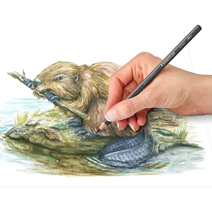 STAEDTLER Design Journey abgetönte wasservermalbare Stifte 146, klassisches Sechskantformat, weiche und intensive Mine, 12 Aquarellfarben im Kartonetui, 14610T C12 – Bild 4