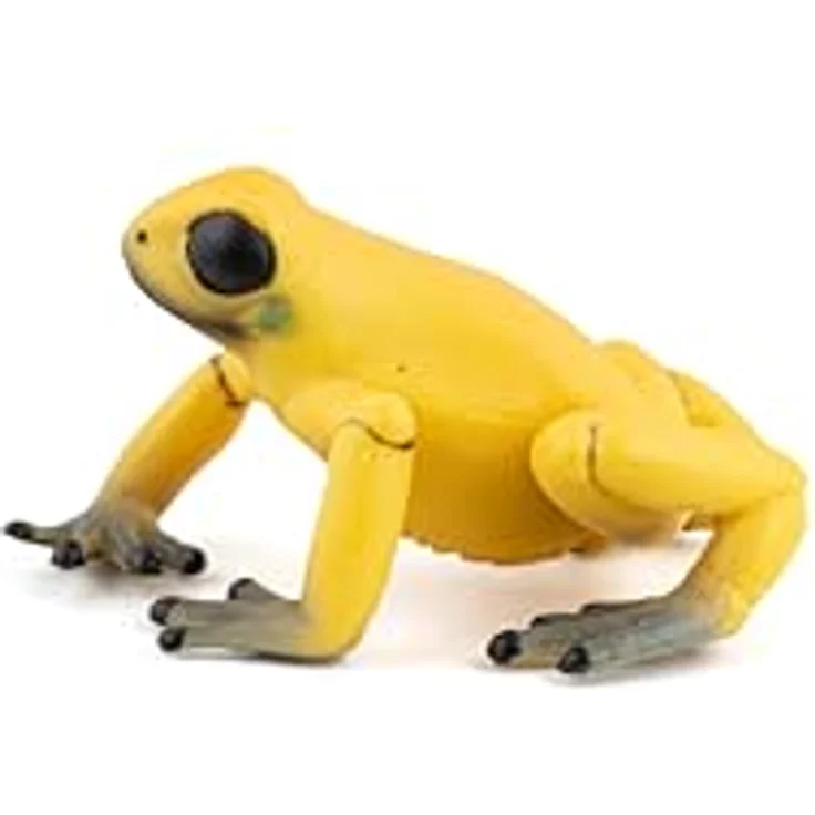 Gelber Äquatorialfrosch - Preisvergleich – Bild 6