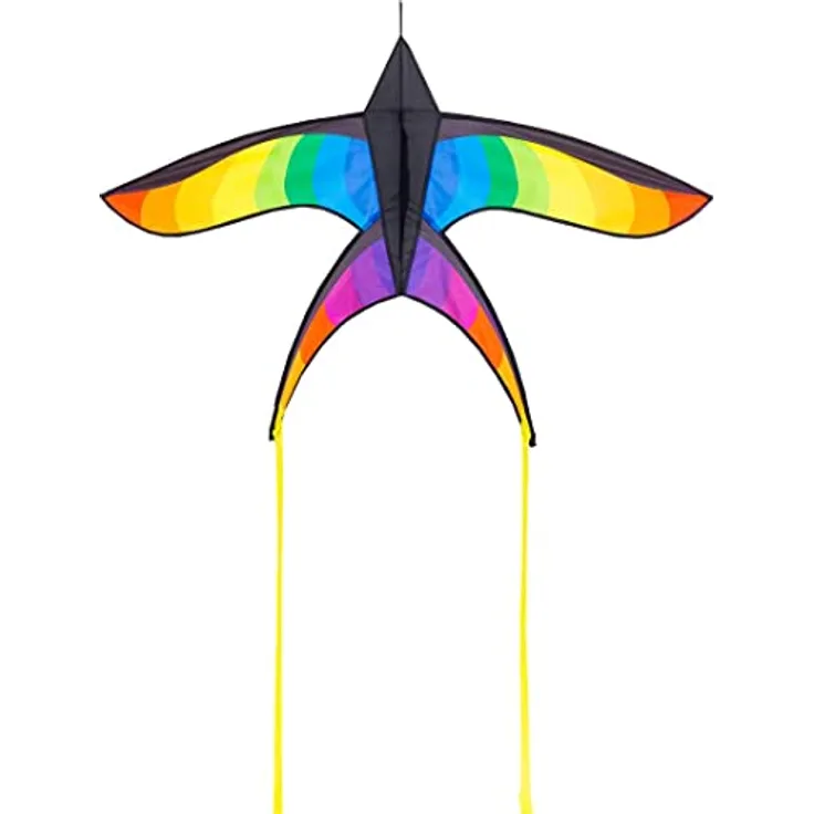 HQ HIGH QUALITY DESIGN 106523 - Swallow Kite Rainbow Kinderdrachen, Einleiner, ab 8 Jahren, 120x80cm, inkl. 17kp Polyesterschnur 40m auf Spule, 2-5 Beaufort