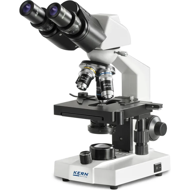 Kern Durchlichtmikroskop Binokular 400x, Schulmikroskop mit stufenlos dimmbarer 0,5W-LED, höhenverstellbarem Abbe-Kondensor und mechanischem Kreuztisch
