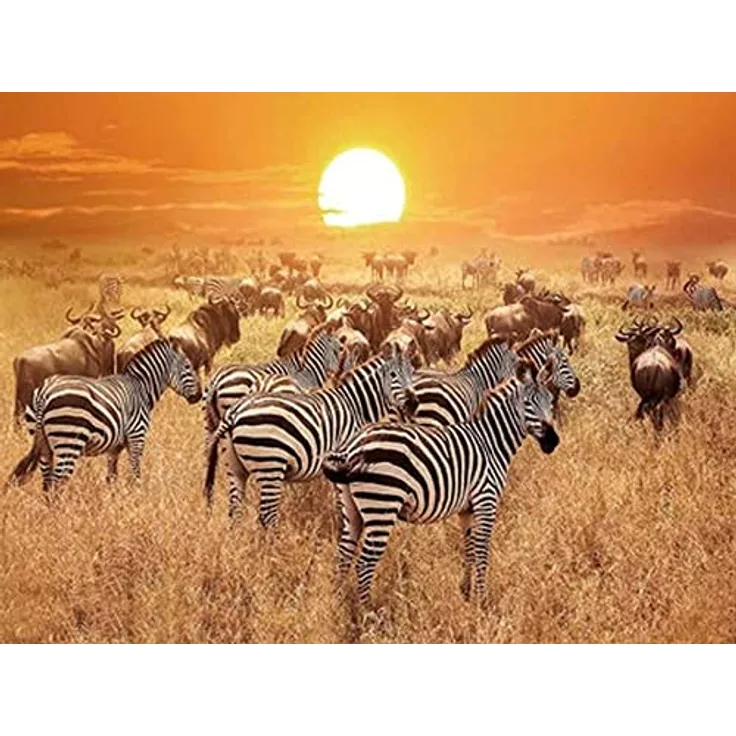 Diamond Painting Set, Bild mit Motiv Zebras und Zubehör, Größe ca. 25 x 35 cm, Bastelset zum Malen mit Glitzersteinchen für Kinder ab 5 Jahren