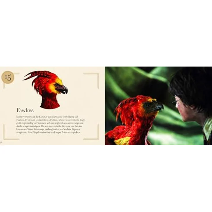 Panini Harry Potter - Weihnachten in Hogwarts - Das große Adventskalenderbuch, interaktives Pop-up-Buch für magische Momente – Bild 7
