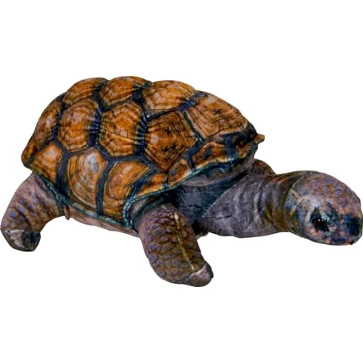 Die Spiegelburg - Schildkröte Nature Zoom Wild, Kuscheltier mit detailreicher naturnaher Gestaltung, 30 cm groß
