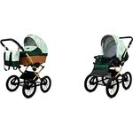 Babylux BabyLux ALU 2in1 Kinderwagen für Kleinkinder – Multifunktionaler Kinderwagen mit elegantem Design – Sicherheitszertifiziert – Praktisches Zubehör inklusive – Green Daisy Gold Frame