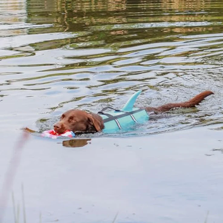 Nobby Schwimmweste Hunde Schwimmweste Sharki hellblau, Sicherheit und Spaß im Wasser – Bild 6