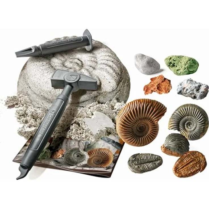Clementoni Galileo DISCOVERY Ausgrabungs-Set für Fossilien & Mineralien, wissenschaftlicher Experimentierkasten – Bild 4