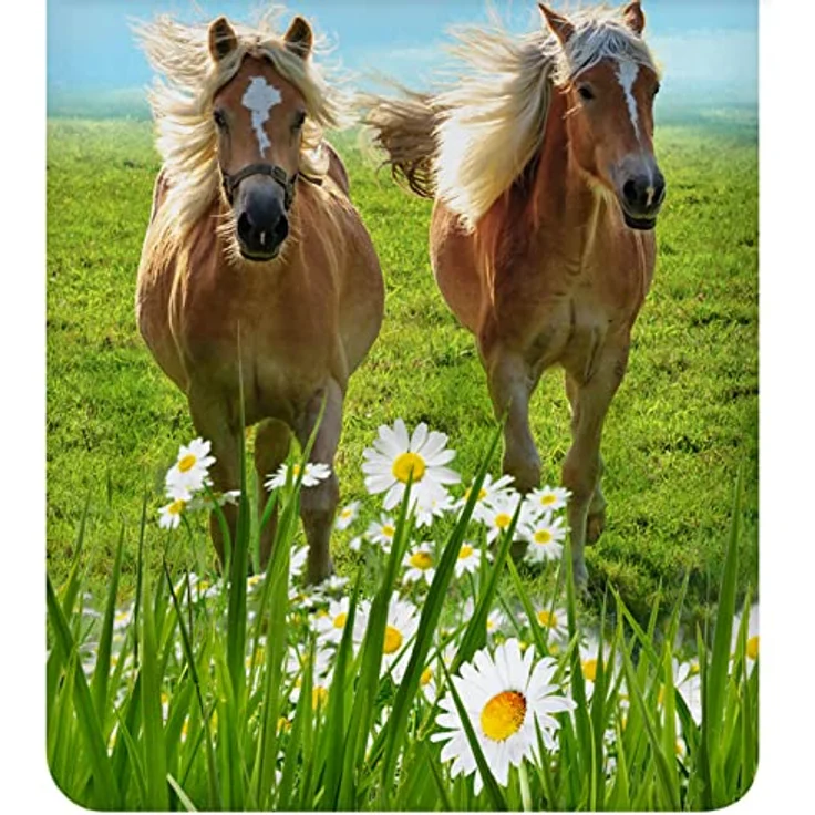 ESPiCO Bettwäsche Trendy Bedding Pferd Koppel Galoppieren Blumen Geblümt Bunt Renforcé, 100% Baumwolle, Kinderbettwäsche, 2-teilige Wendebettwäsche, 135x200 cm – Bild 3