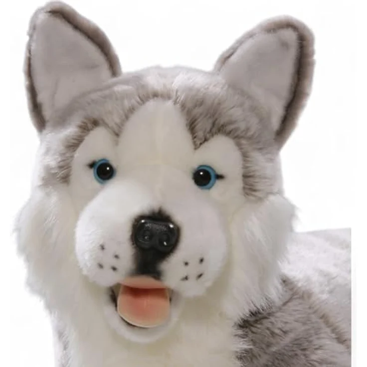 Carl Dick Husky liegend, Hund, Plüschtier, Kuscheltier ca. 60cm 2703, grau-weiß, mit naturgetreuer Optik und blauen Sicherheitsaugen – Bild 4