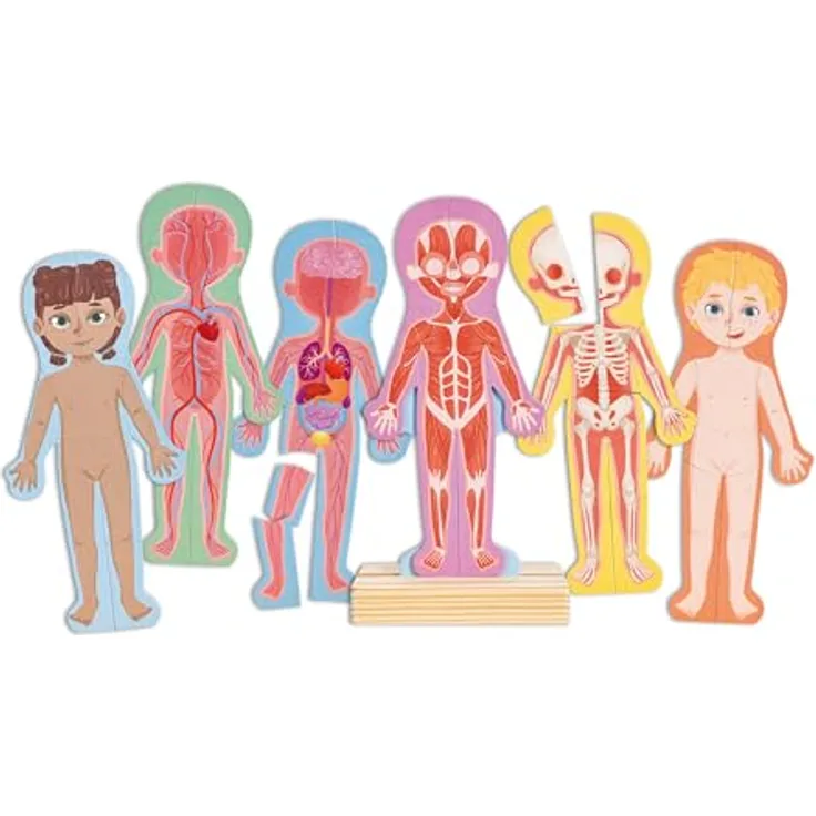 Hape E1652 Puzzle, Mehrfarbig - Magnetisches Anatomie-Puzzle für Kinder zur Entwicklung von Mint-Fähigkeiten