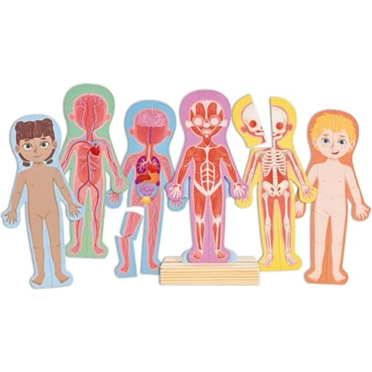 Hape E1652 Puzzle, Mehrfarbig - Magnetisches Anatomie-Puzzle für Kinder zur Entwicklung von Mint-Fähigkeiten – Bild 1