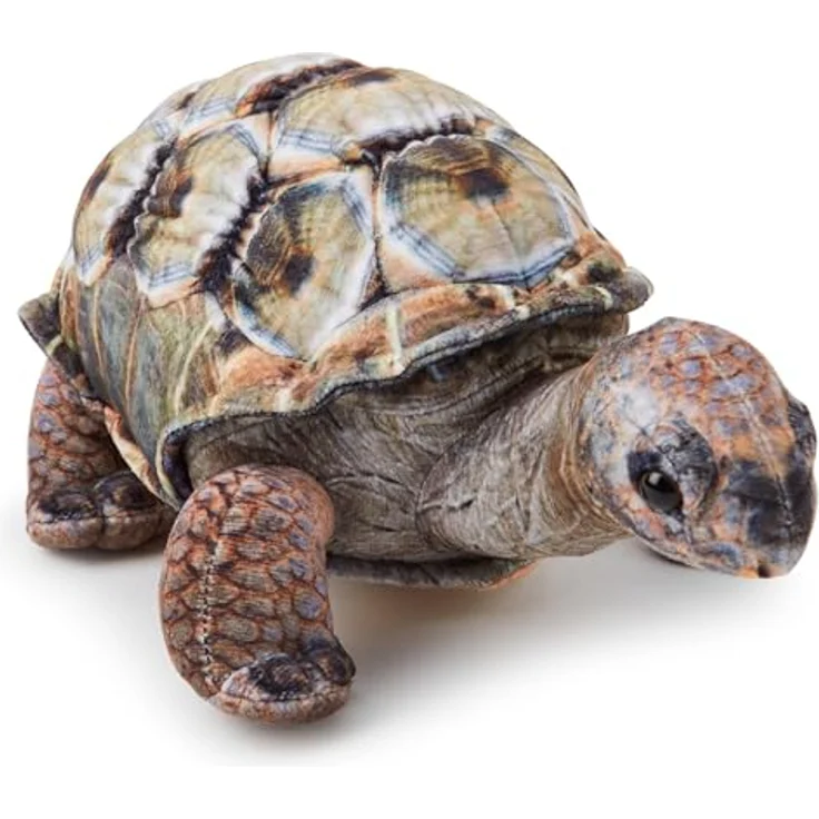Zappi Co Aldabra-Riesenschildkröte Plüschtier, 26 cm realistisch, weich und langlebig, für kinderfreundliches Spiel und pädagogische Unterhaltung – Bild 1