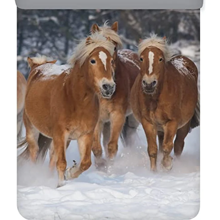 ESPiCO Bettwäsche Trendy Bedding Pferde Haflinger Schnee Winter Fell Stute Wendeoptik Flanell, 135x200 cm, Winter-Bett-Garnitur in Flanell-Qualität, Kinderbettwäsche – Bild 3