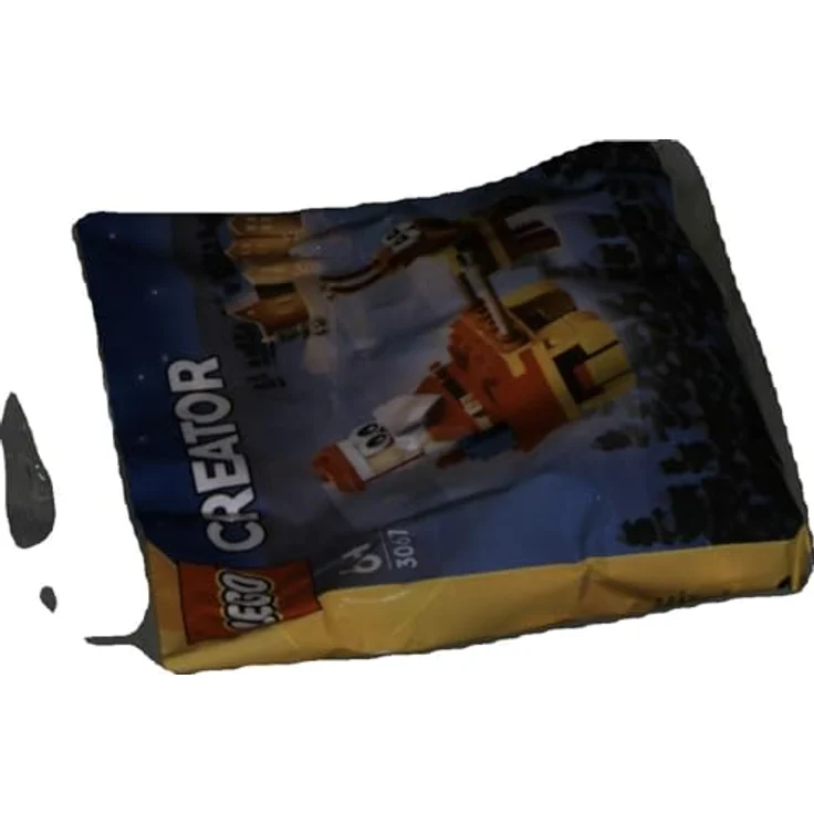 LEGO Creator 30670 Schlittenfahrt Polybag-Set des Weihnachtsmanns, 73 Teile, für Kinder ab 6 Jahren – Bild 5