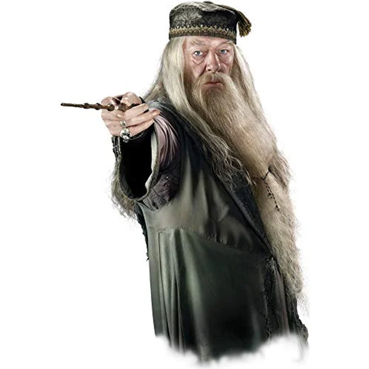 Rebel Harry Potter: Obrona p/czarnš magiš, Brettspiel für 2 Spieler mit strategischem Denken, polnische Version, ab 11 Jahren – Bild 11