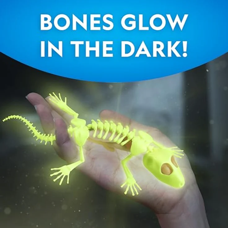 National Geographic Gecko Dissection Lab (29-2451), Experimentierkasten zur Anatomie von Geckos mit vollständigem Zubehör – Bild 4