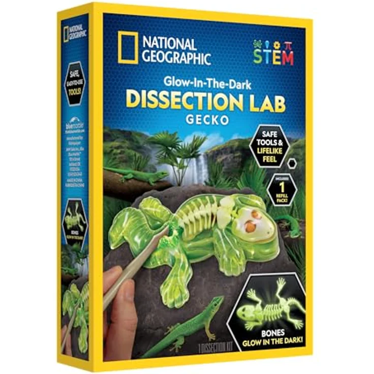 National Geographic Gecko Dissection Lab (29-2451), Experimentierkasten zur Anatomie von Geckos mit vollständigem Zubehör – Bild 1