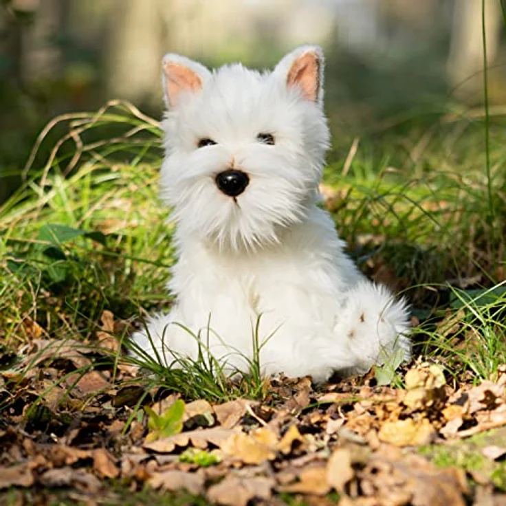 Animigos World of Nature Westie Dog, 26 cm hoch, realistische Details, umweltfreundlich – Bild 3