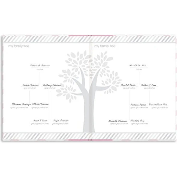 Pearhead P62202 Chevron Babybuch mit Clean Touch Stempelkissen, rosa (Texte auf Englisch) - Preisvergleich – Bild 3