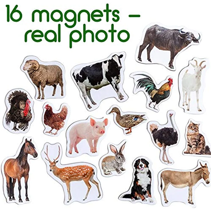 Kühlschrankmagnete kinder MAGDUM Bauernhof FOTO - 16 GROßE Kühlschrank Magnete für Kleinkinder - Kinder magnete - Magnete für magnettafel - Magnete kühlschrank - Magnete kinder - Magnettafel kinder – Bild 4