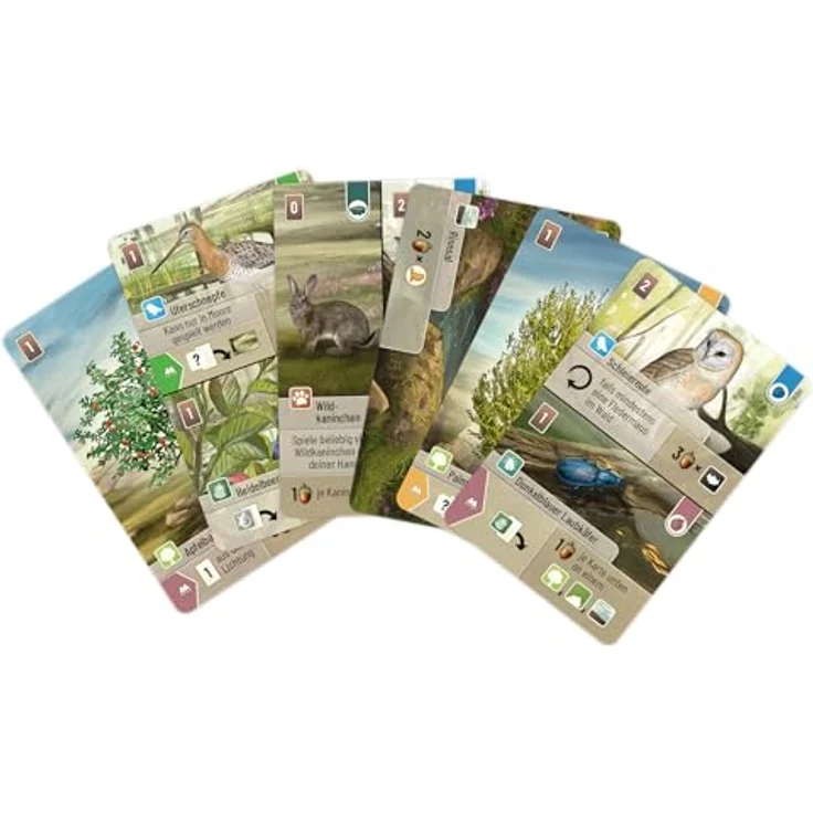 Lookout Mischwald: Dartmoor, Kartenspiel für 2-5 Spieler, Grundspiel mit strategischem Set-Collection und Geländekarten, Deutsch, ab 10 Jahren, 60 Minuten Spielzeit – Bild 4