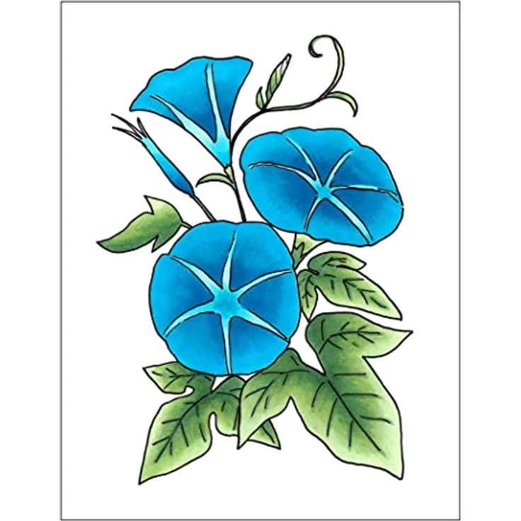 COPIC Sketch Marker Set "Color Fusion 6", 3 Farben, professionelle alkoholbasierte Pinsel-Marker mit einer flexiblen und einer mittelbreiten Spitze – Bild 3