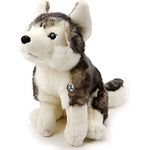 Kuscheltiere.biz Husky Kuscheltier Hund sitzend Schlittenhund grau-weiß Plüschtier Nikita - Naturrealistischer Husky, blauen Knopfaugen, Lebensecht mit dunklen Haarspitzen, 40 cm, waschbar bei 30°C