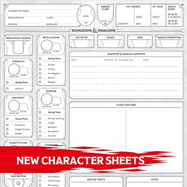 Dungeons & Dragons 2024 Character Sheets, 50 doppelseitige Charakterblätter für die 5. Edition, illustriert – Bild 2
