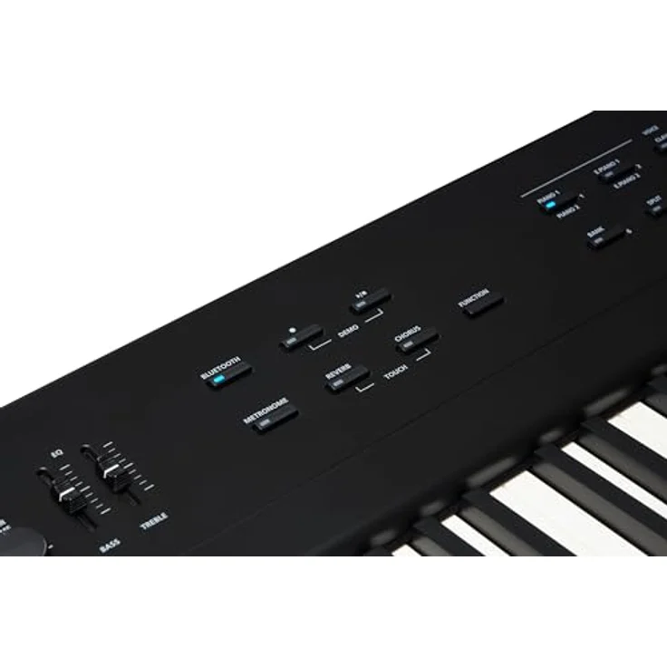 Kurzweil KA E1, Stagepiano mit 88 Hammeraction-Tasten, 128-stimmiger Polyphonie und eingebauten Lautsprechern, Schwarz – Bild 6