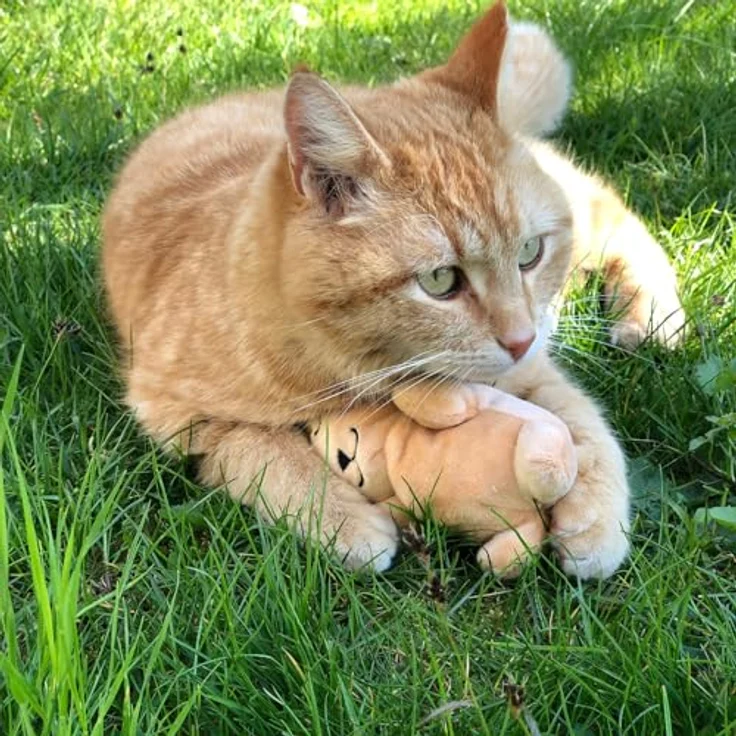 Aumüller Baldi Bunny, Katzenspielzeug Plüschtier mit Baldrianfüllung und Dinkelspelz, braun, 16 x 9 x 6 cm – Bild 2