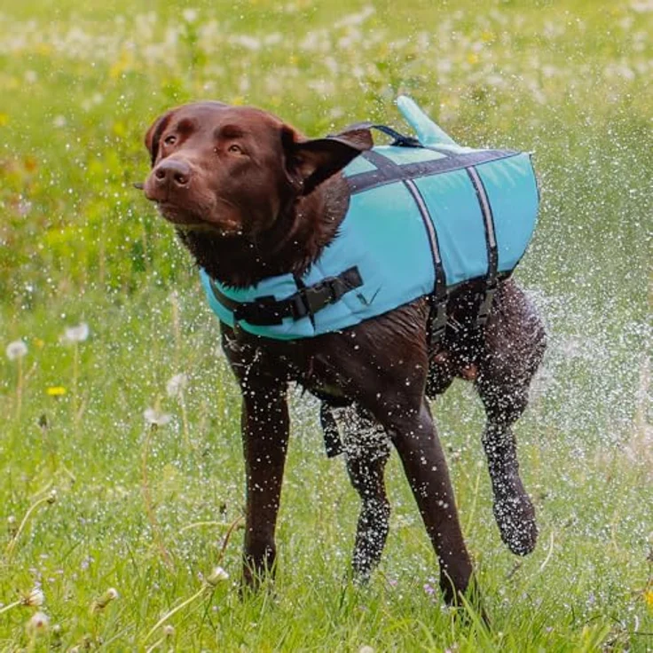 Nobby Schwimmweste Hunde Schwimmweste Sharki hellblau, Sicherheit und Spaß im Wasser – Bild 8