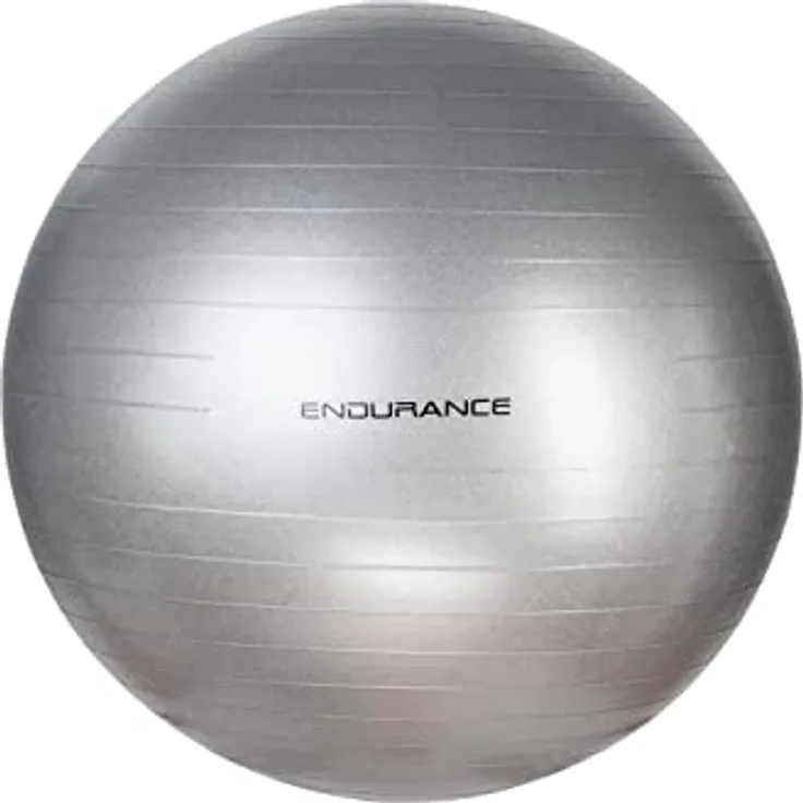 Endurance Unisex Gymnastikball 8889 Silver One Size