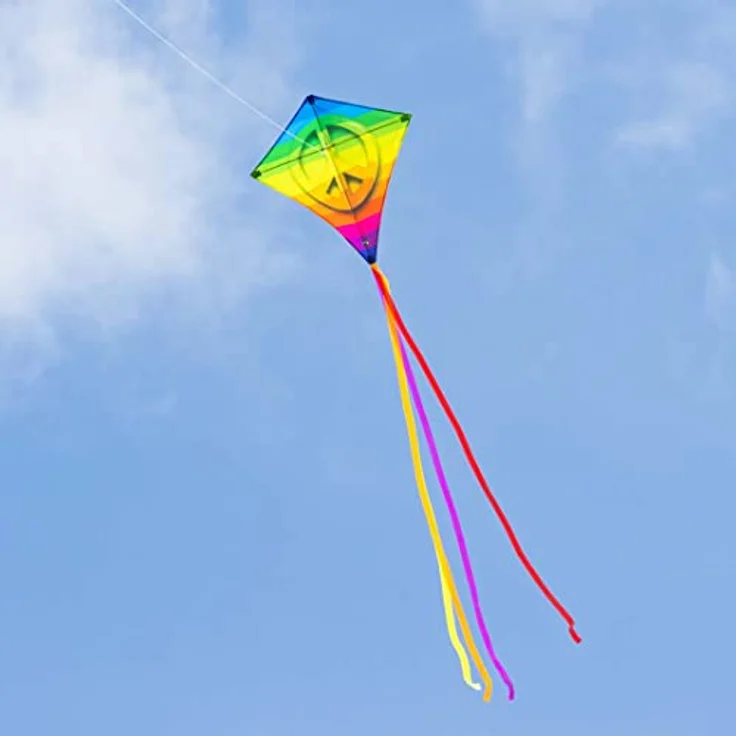HQ Eddy Kinderdrachen Rainbow Peace, Einleiner Drachen 68x68cm mit 2m Drachenschwanz, inklusive 40m Polyesterschnur, ideal für wenig Wind, ab 5 Jahren – Bild 4