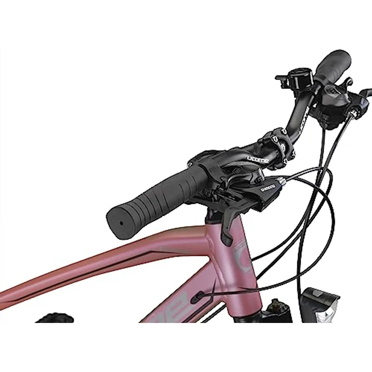 Licorne Bike Premium Touring Trekking Bike in 28 Zoll Aluminium Scheibenbremse Fahrrad für Jungen, Mädchen, Damen und Herren - 21 Gang-Schaltung - Mountainbike - Crossbike (Damen, Rosa) – Bild 5