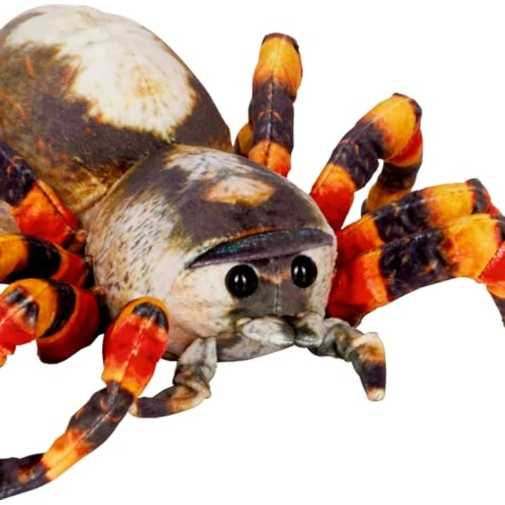 Coppenrath Verlag Spinne - Nature Zoom Wild, 37 cm groß, authentisches Erlebnis in lebensechten Farben – Bild 2
