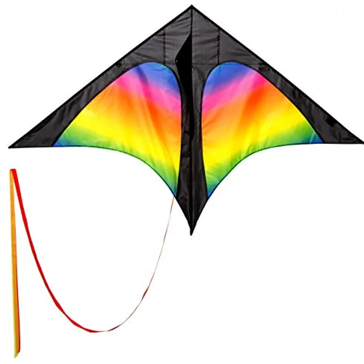 Wolkenstürmer Delta Kinderdrachen Rainbow mit 3m Drachenschwanz, idealer Einsteigerdrachen
