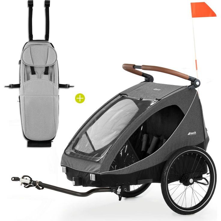 Hauck Dryk Duo 2in1 Fahrradanhänger Sparset für 2 Kinder bis 44 kg, inkl. Babysitz Lounger, Melange Grey