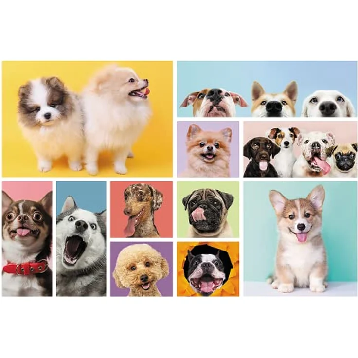 Trefl Hundefreundschaft Puzzle, 160 Teile mit bunten Hundecollagen, 410 x 275 mm, für Kinder ab 6 Jahren – Bild 2