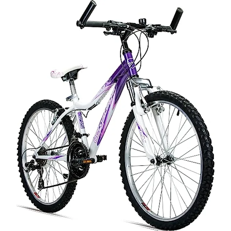 beste mini fahrradpumpe PRO BIKE TOOL mit Manometer für Presta und Schrader Ventile info-coast Color:Mercury 12 Modelle im Vergleich: