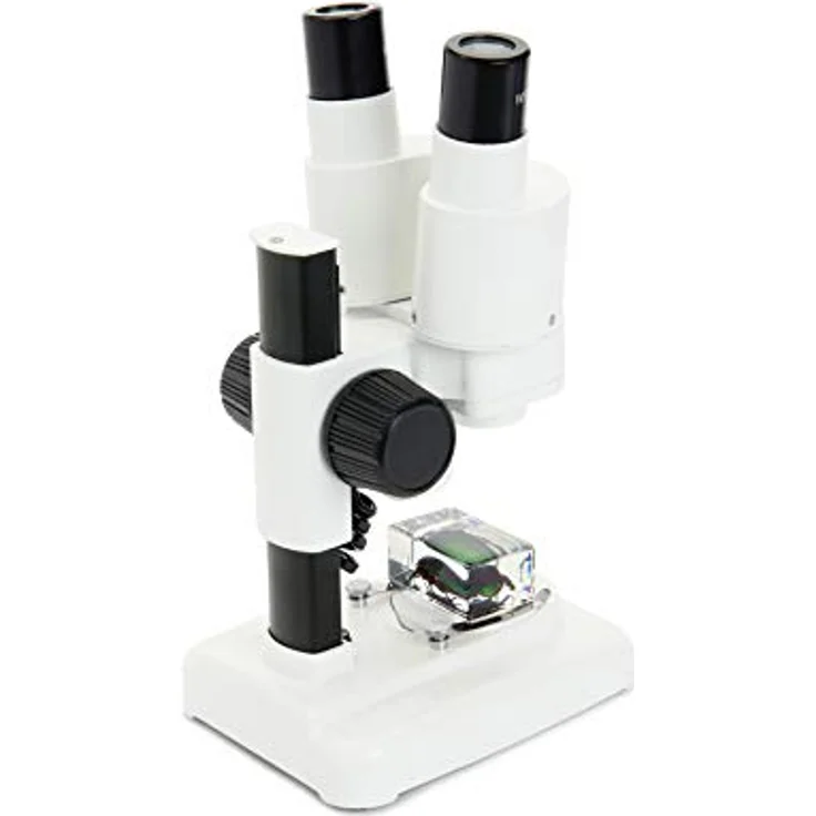 Celestron Labs Mikroskop S20, Einsteiger-Stereo-Mikroskop mit 20-facher Vergrößerung, LED-Beleuchtung und Metallkopf – Bild 4