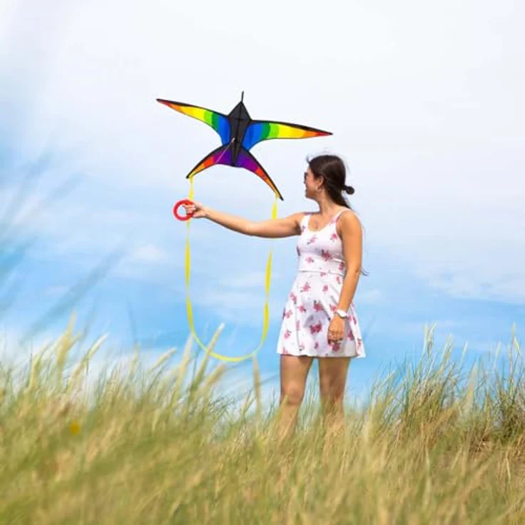 HQ HIGH QUALITY DESIGN 106523 - Swallow Kite Rainbow Kinderdrachen, Einleiner, ab 8 Jahren, 120x80cm, inkl. 17kp Polyesterschnur 40m auf Spule, 2-5 Beaufort – Bild 4