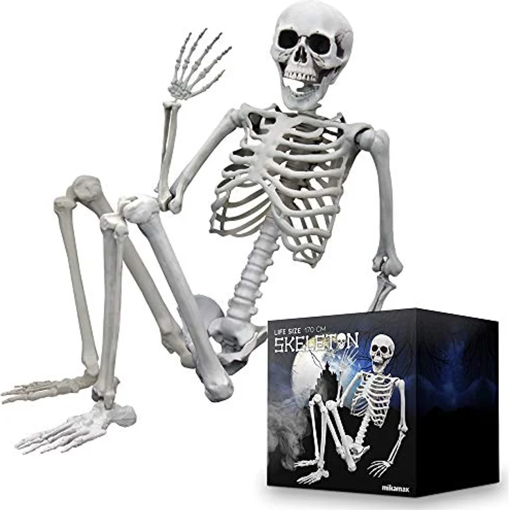 mikamax Lebensgroßes Skelett, 1,70 m, realistisches Design, Halloween-Dekorationsideen, Friedhofsspukknochen. Maße: 170 x 45 cm – Bild 1