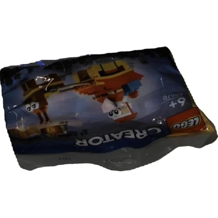 LEGO Creator 30670 Schlittenfahrt Polybag-Set des Weihnachtsmanns, 73 Teile, für Kinder ab 6 Jahren – Bild 4