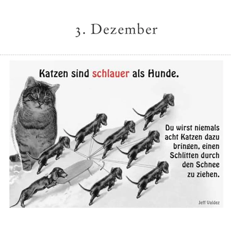 Sonstige Verlage, Der literarische Katzen-Adventskalender mit 24 Postkarten und literarischen Zitaten – Bild 4