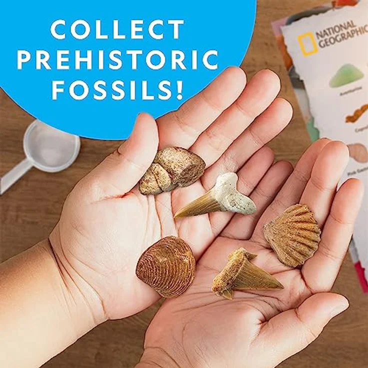 NATIONAL GEOGRAPHIC Edelsteine und Fossilien Set - 200-teiliges Set mit Geoden und Echten Fossilien -Rosenquarz Jaspis Aventurin - Viele Weitere Kristalle und Edelsteine für Kinder – Bild 3
